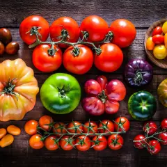 Variedad de tipos de tomates: rojos, verdes, morados, amarillos y de diferentes formas, desde cherry hasta heirloom.