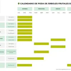 Calendario poda frutales en España: olivos, almendros, manzanos, melocotoneros, cerezos, cítricos, higueras y vid. Muestra épocas de formación y fructificación.
