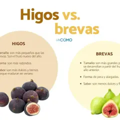 Fotos de higos morados y brevas verdes, comparando sus características.