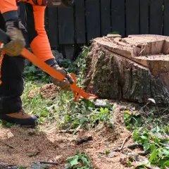Hombre con equipo de protección usando una palanca para quitar tocon arbol. Aserrín y vegetación cubren el suelo.