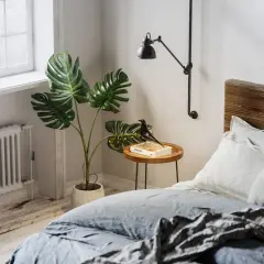 Monstera deliciosa, una de las mejores plantas para dormitorio, decora este espacio acogedor junto a una cama de madera.