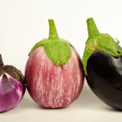 Tres tipos de berenjenas en España: una pequeña morada y blanca, una rayada rosa y blanca, y una grande negra.