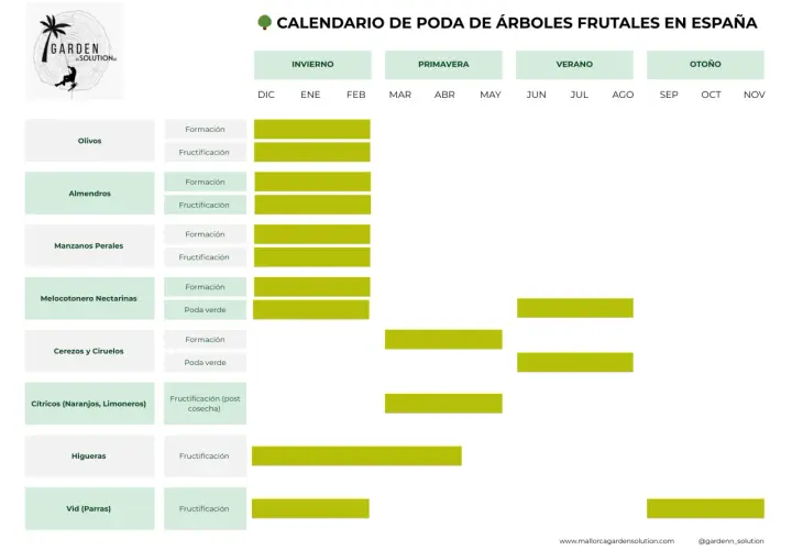 Calendario poda frutales en España: olivos, almendros, manzanos, melocotoneros, cerezos, cítricos, higueras y vid. Muestra épocas de formación y fructificación.