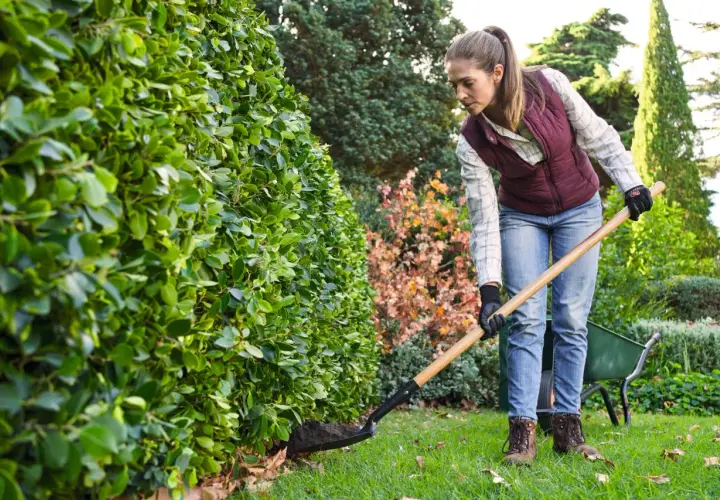 Mujer con pala trabajando en el jardín, preparando la tierra cuando se poda el laurel.