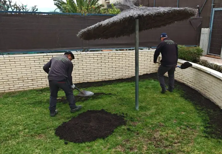 Jardineros esparciendo tierra, mostrando la diferencia entre sustrato y mantillo para mejorar el jardín.