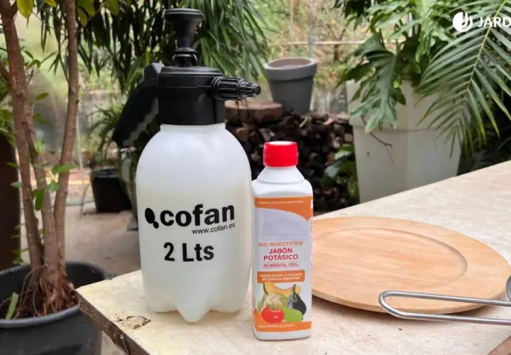 Pulverizador y botella de jabón potásico para combatir pulgones y otras plagas.