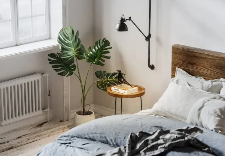 Monstera deliciosa, una de las mejores plantas para dormitorio, decora este espacio acogedor junto a una cama de madera.