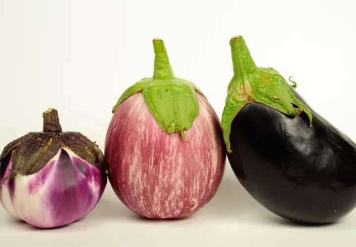 Tres tipos de berenjenas en España: una pequeña morada y blanca, una rayada rosa y blanca, y una grande negra.