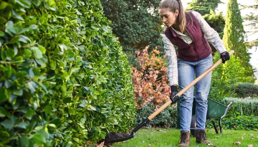 Mujer con pala trabajando en el jardín, preparando la tierra cuando se poda el laurel.