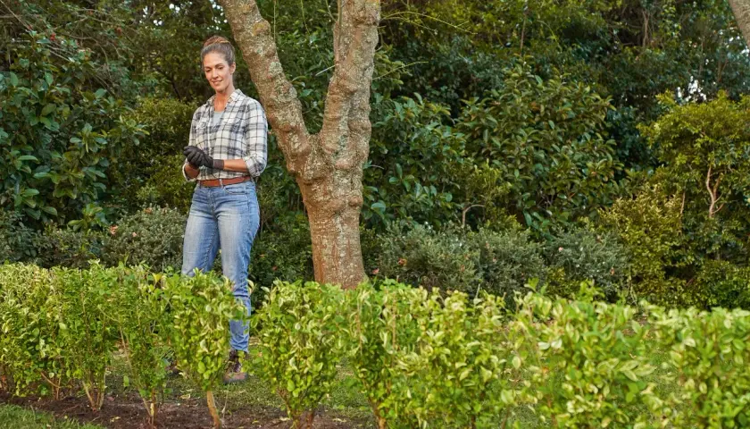 Mujer sonriente con guantes, lista para plantar setos por esquejes. Detrás, un árbol y vegetación frondosa.