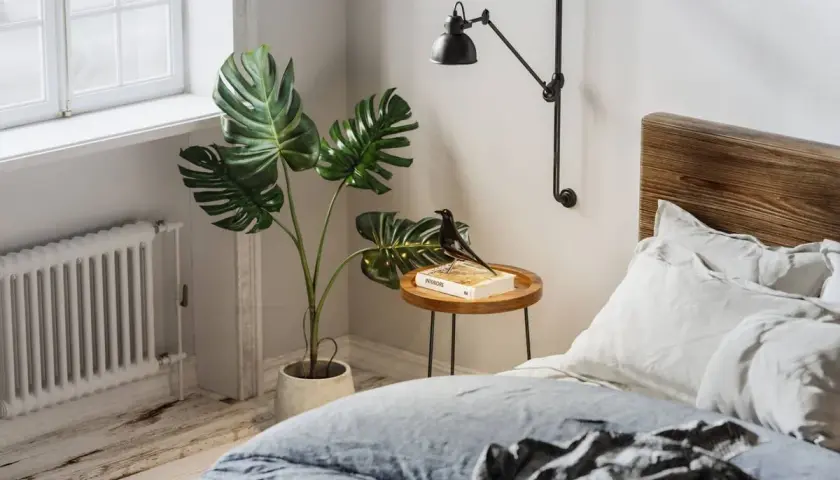 Monstera deliciosa, una de las mejores plantas para dormitorio, decora este espacio acogedor junto a una cama de madera.