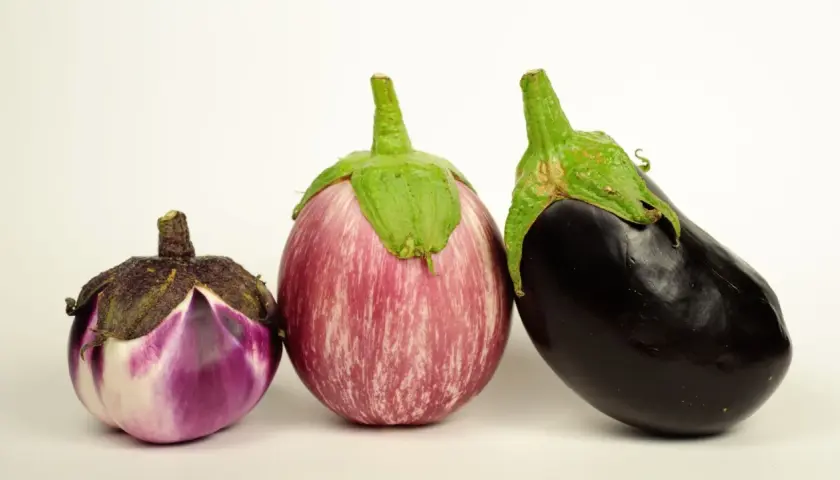 Tres tipos de berenjenas en España: una pequeña morada y blanca, una rayada rosa y blanca, y una grande negra.