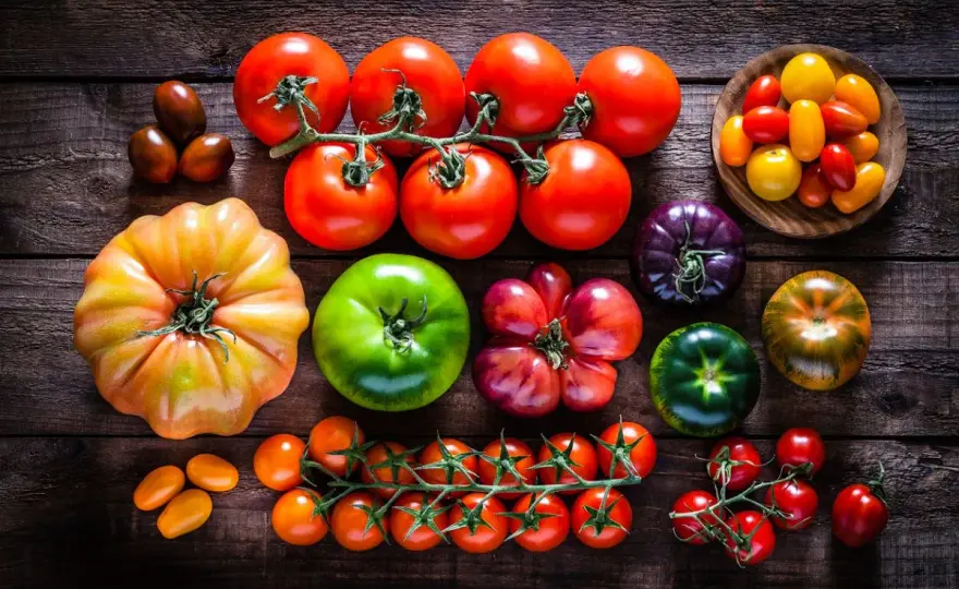Variedades de tomate que sí merecen un sitio en tu huerto
