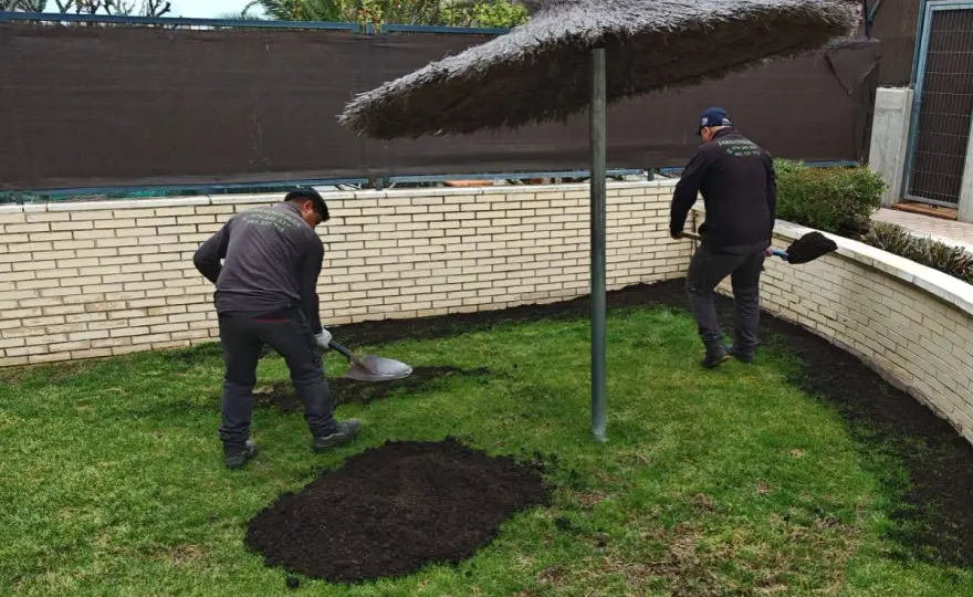 Sustrato y mantillo - cuándo usar cada uno en plantas de exterior