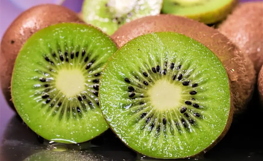 Kiwi por esquejes - guía práctica para enraizarlo con éxito