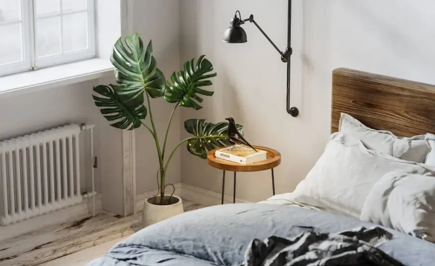 Plantas para dormitorio - las que mejor funcionan de verdad