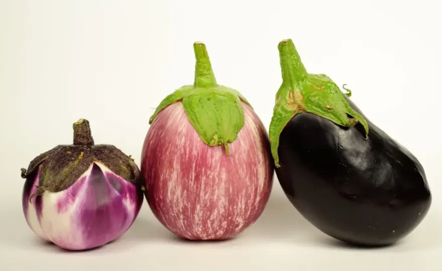 Tipos de berenjenas en España y cuál elegir para cada plato