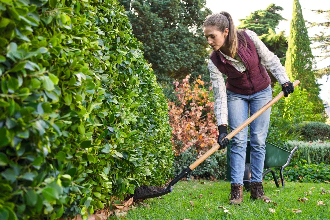 Mujer con pala trabajando en el jardín, preparando la tierra cuando se poda el laurel.