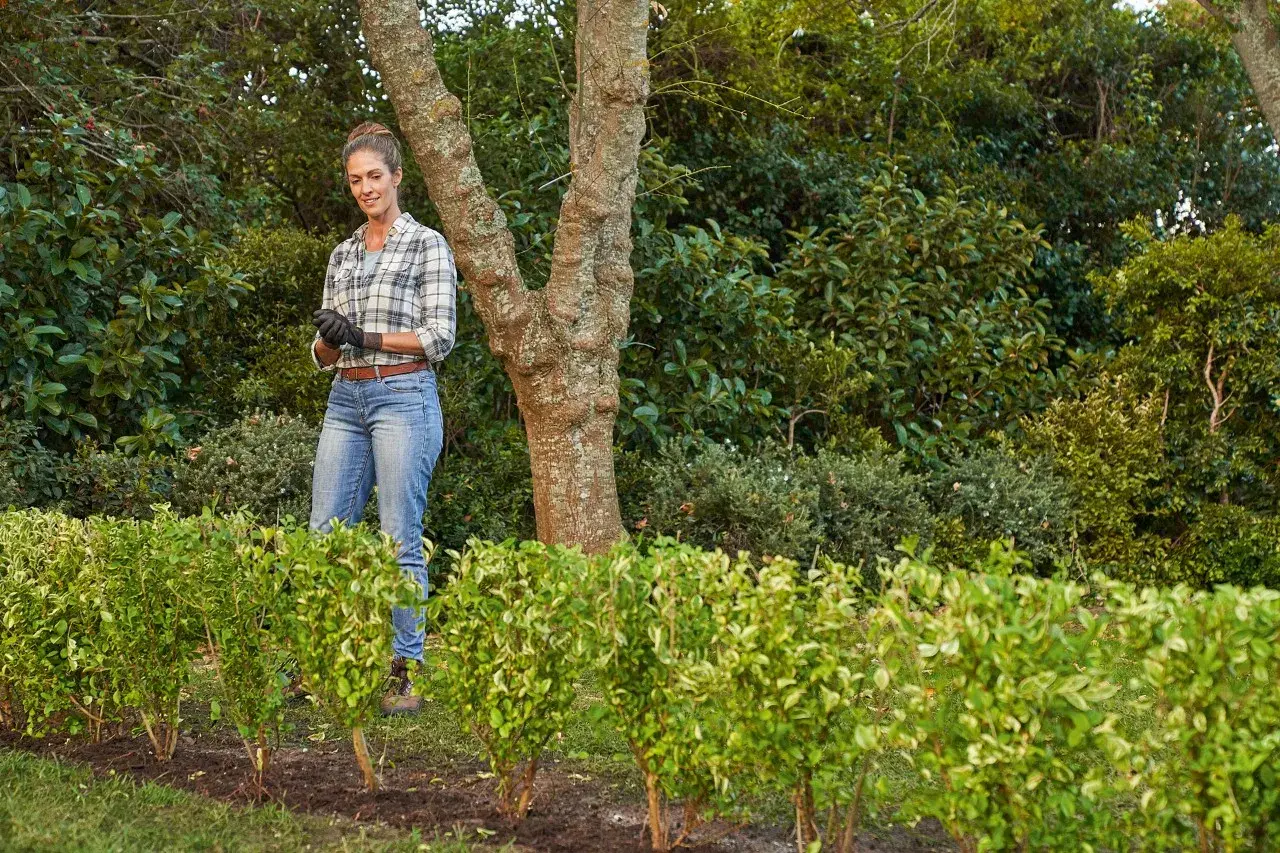 Mujer sonriente con guantes, lista para plantar setos por esquejes. Detrás, un árbol y vegetación frondosa.
