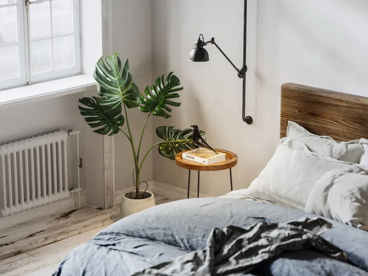 Monstera deliciosa, una de las mejores plantas para dormitorio, decora este espacio acogedor junto a una cama de madera.