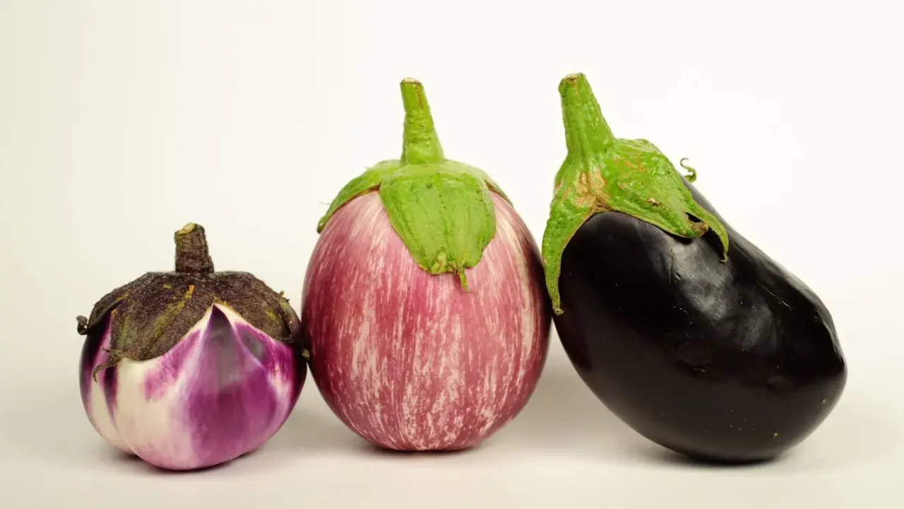 Tres tipos de berenjenas en España: una pequeña morada y blanca, una rayada rosa y blanca, y una grande negra.