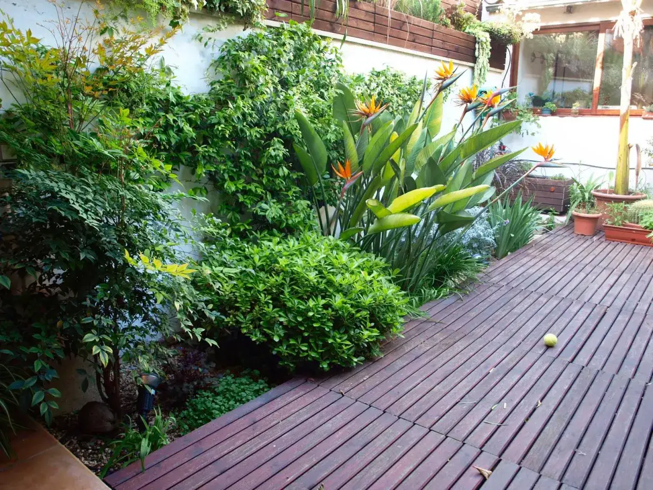 Un jardín exuberante con flores de ave del paraíso vibrantes, follaje verde y una terraza de madera.