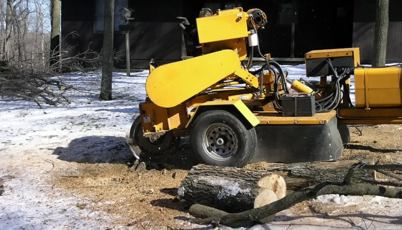 Máquina amarilla triturando un tocón, como arrancar un árbol de raíz. Restos de madera y nieve en el suelo.