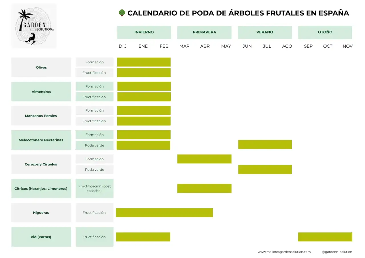 Calendario poda frutales en España: olivos, almendros, manzanos, melocotoneros, cerezos, cítricos, higueras y vid.